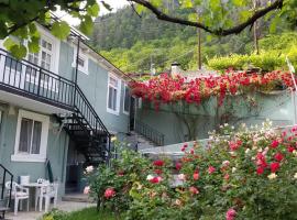 Guest House Green Rose，位于博尔若米的酒店