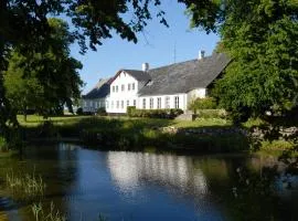 Rønhave