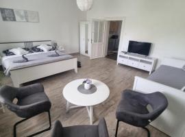 Apartmány Černý Tulipán 4，位于比尔森的低价酒店