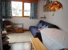 Appartement 3 pièces, 4 pers, skis aux pieds, balcon, parking, proche village - FR-1-733-106