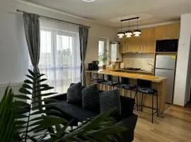 Apartament Elena