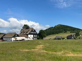 Panský dům - Jizerka，位于伊泽卡的酒店