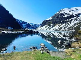 Voss Mountain Lodge，位于Mjølfjell的民宿