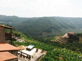 Apedeceo Belesar Villa, Ribeira Sacra, Galicia，位于钱塔达的酒店