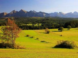 Pokoje Gościnne Panorama，位于Rzepiska的酒店