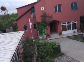 Zau Vila，位于格里戈莱蒂的带泳池的酒店