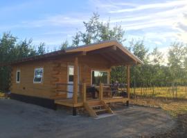 Oma's and Opa's Northern Lights Viewing Cabin，位于怀特霍斯的酒店