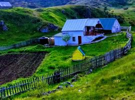 Weekend house in the Piva nature park，位于普卢日内的乡村别墅