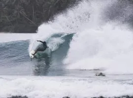 Nias pro