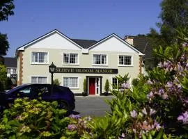 Slieve Bloom Manor Hostel