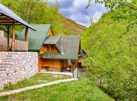 Brvnara Djordje tri zbezde，位于Kokin Brod的酒店