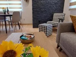 Vila Jahor Apartmani JET SET Lux 4,5,6