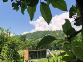 RDT Guest House-Rai din Transilvania，位于莫伊西德约斯的旅馆