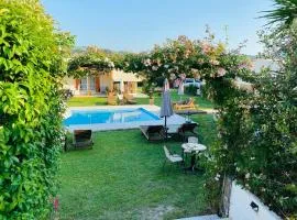 The mansion of Dionisos and Dimitras 6