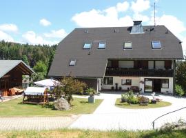 Haus Ingeborg，位于Dachsberg im Schwarzwald的宠物友好酒店