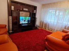 Apartament Florina