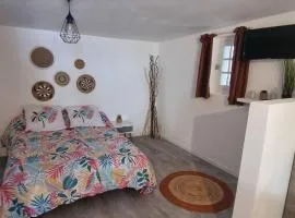 Studio en camargue