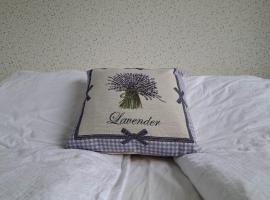 Levander Apartman，位于巴拉顿城堡的酒店