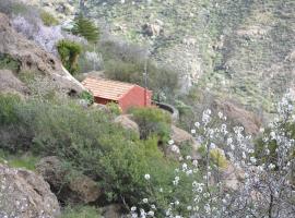 Casa Cueva El Pedregal Tejeda，位于克鲁兹·德·特赫达的度假屋