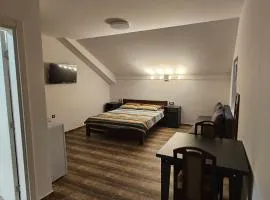 Apartmani Kovačević Banja Vrujci