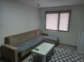 Studio Apartment BADGER