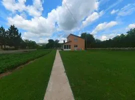 Kuća za odmor Vila Ružica