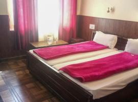 Hotel Gyespa，位于Kyelang的酒店