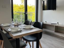 Apartamenty Pod Jodłami，位于萨比诺瓦的酒店