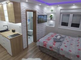 Apartman EXCLUSIVE 1，位于诺维萨德的酒店