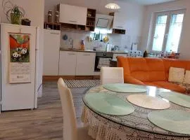 Apartment Orchidea