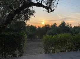 Rustic- Chic Villa in a Private Olive Grove - Filiatra
