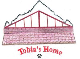 Tobia's Home，位于Roddino的酒店