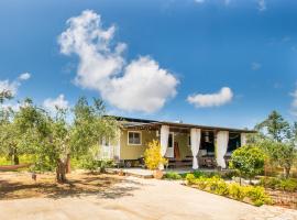 Hakuna Matata Holidays Agalia with airco & pool in Greek Olive Grove，位于迈索尼的酒店