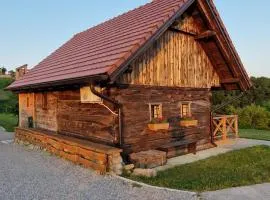 Vineyard cottage Vinska grajska kašča