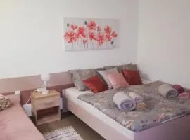 Apartman "Vuković"