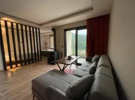 Green Hill Apart