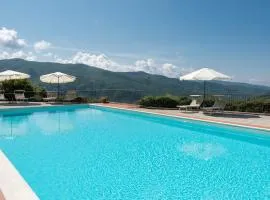 Universal Harmony - Poiana