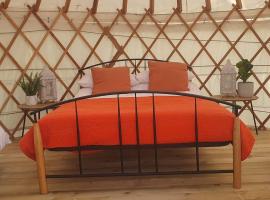 The Lawn Yurt，位于塔洛的豪华帐篷