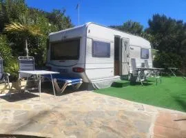 Roca Caravan