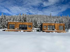 Heaven`s cabins，位于陶比斯特拉Sureanu Ski Lift附近的酒店