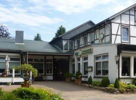 Niemann's Gasthof，位于赖因贝克的酒店