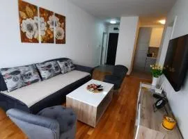 Apartman Petrovic