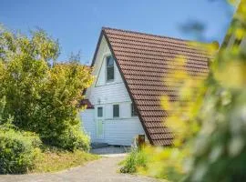 Ferienwohnpark Immenstaad am Bodensee Nurdachhaus Typ 8 NDW 076