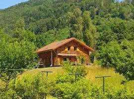 CHALET DES CHARBONNIERS AVEC ETANG