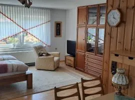 Retrowohnung Lindenhof Oberndorf