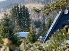 Kleines Chalet im Erzgebirge mit Sauna und Kamin，位于Rechenberg-Bienenmühle的酒店