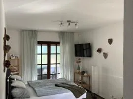 1 Zimmer Whg Waldfischbach
