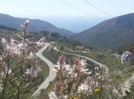 VILLA APHRODITE SOUGIA apt1