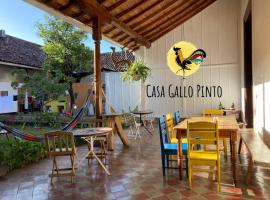 Casa Gallo Pinto，位于格拉纳达的住宿加早餐旅馆