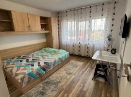 Apartament Madalina，位于Corabia的公寓